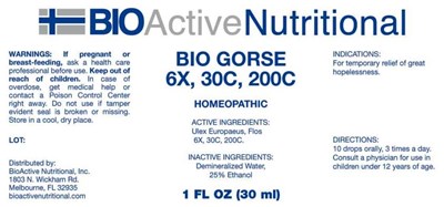 BANI0254 Bio Gorse 6X, 30C, 200C 7-14-16.jpg Bio Gorse - BANI0254 Bio Gorse 6X, 30C, 200C 7 14 16